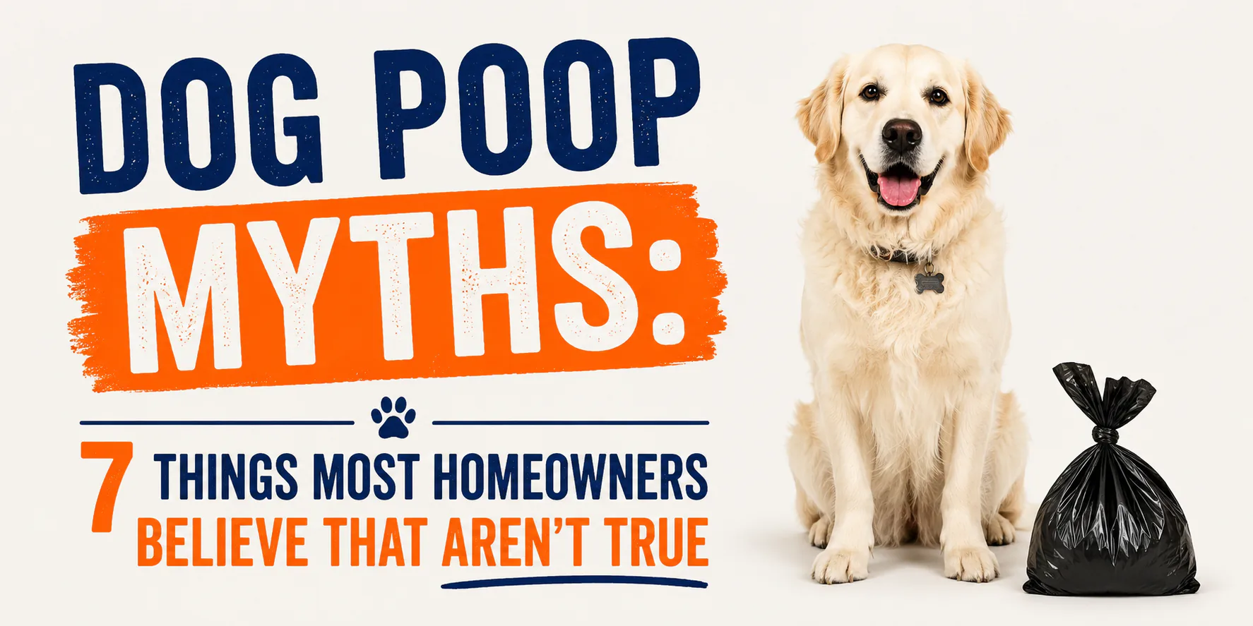 Dog Poop Myths: 7 Things Most Homeowners Believe That Aren't True