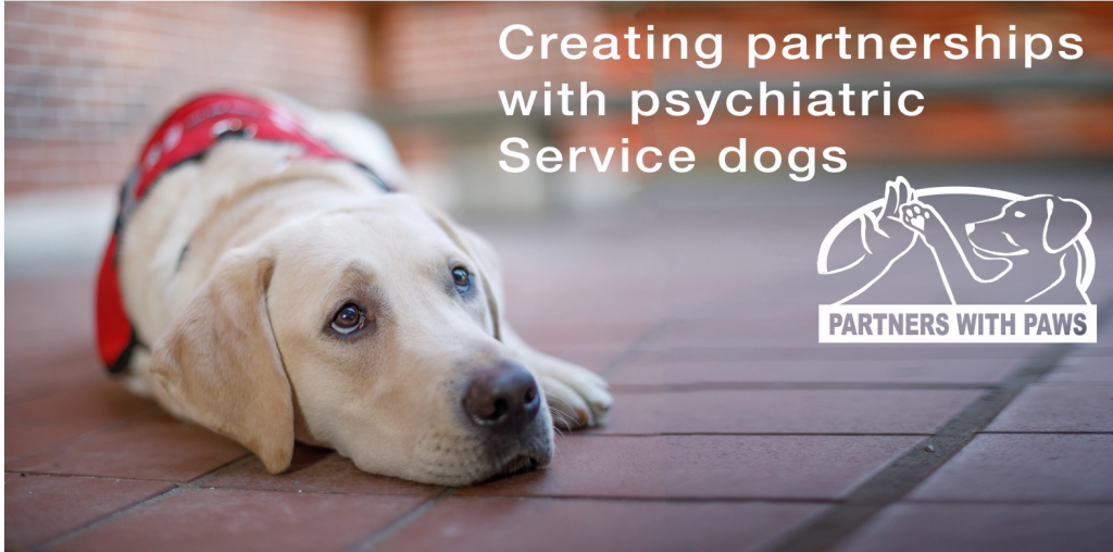 Partners With Paws Service Dog Jax Gori The Poop Valet Partnership